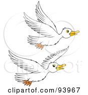Poster, Art Print Of Two Flying White Geese