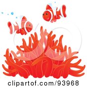 Royalty Free RF Clipart Illustration Of Two Airbrushed Red And White Clownfish With Bubbles Over A Red Sea Anemone by Alex Bannykh