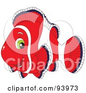 Poster, Art Print Of Red And White Clownfish With Green Eyes