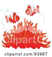 Poster, Art Print Of Two Happy Red And White Clownfish With Bubbles Over A Red Sea Anemone