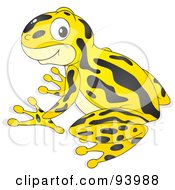 Cute Yellow Poison Dart Frog With Black Markings