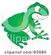 Poster, Art Print Of Cute Green And White Tree Frog