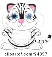 Poster, Art Print Of Cute White Tiger With Big Blue Eyes
