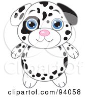 Poster, Art Print Of Cute Dalmatian Puppy With Big Blue Eyes