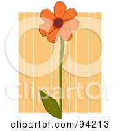 Orange Flower Over Orange Stripes With White Edges