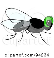 Royalty Free RF Clipart Illustration Of A Green Eyed Pesky House Fly by Pams Clipart