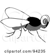 Royalty Free RF Clipart Illustration Of A Black And White Pesky House Fly
