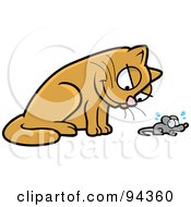 Poster, Art Print Of Brown Cat Glaring Down At A Mouse