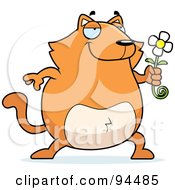 Poster, Art Print Of Plump Orange Cat Holding A Daisy