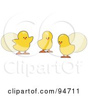 Poster, Art Print Of Three Easter Chicks With Eggs