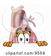 Heart Organ Mascot Cartoon Character Peeking Over A Surface