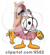 Clipart Picture Of A Heart Organ Mascot Cartoon Character Looking Through A Magnifying Glass
