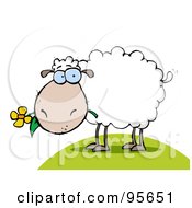 Poster, Art Print Of White Sheep Eating A Flower On A Hill