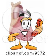 Heart Organ Mascot Cartoon Character Holding A Telephone