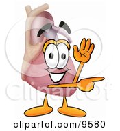 Heart Organ Mascot Cartoon Character Waving And Pointing