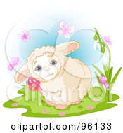 Poster, Art Print Of Cute Baby Lamb Wearing A Pink Bow Surrounded By Spring Time Butterflies