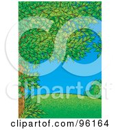 Tree Full Of Green Spring Foliage Framing A Park Scene Of A Grassy Hill On A Clear Day