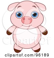 Poster, Art Print Of Adorable Baby Pink Piglet With Big Blue Eyes
