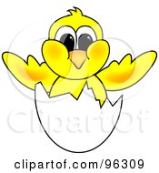 Poster, Art Print Of Yellow Hatching Chick In A White Egg Shell