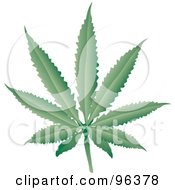 Royalty Free RF Clipart Illustration Of A Fresh Green Cannabis Leaf by Rasmussen Images