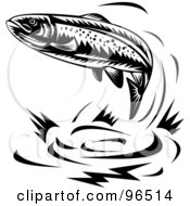 Poster, Art Print Of Black And White Leaping Trout