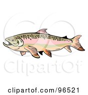 Royalty Free RF Clipart Illustration Of A Side View Of A Swimming Trout