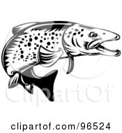 Poster, Art Print Of Black And White Spotted Trout Fish