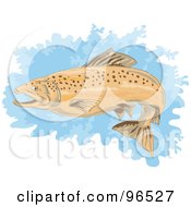 Poster, Art Print Of Brown Trout Swimming Over A Blue Splatter Of Water
