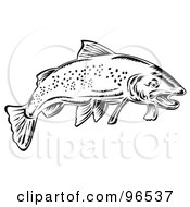 Poster, Art Print Of Black And White Speckled Swimming Trout Fish