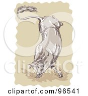 Poster, Art Print Of Bucking Sketched Bull