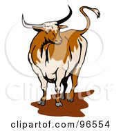 Texas Longhorn Bull Standing In A Mud Puddle