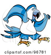 Poster, Art Print Of Blue Parrot Walking And Swinging His Arms