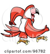 Royalty Free RF Clipart Illustration Of A Red Parrot Walking And Swinging His Arms