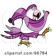 Poster, Art Print Of Purple Parrot Walking And Swinging His Arms