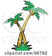 Poster, Art Print Of Royalty-Free Rf Clipart Illustration Of Big And Small Coconut Palm Trees