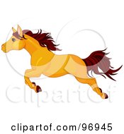 Leaping Butterscotch Colored Horse In Profile