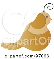 Profile Of A Golden Partridge