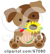 Poster, Art Print Of Brown Puppy Dog Sitting With A Daisy And Heart