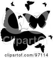 Poster, Art Print Of Group Of Fluttering Black Silhouetted Butterflies