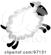 Poster, Art Print Of Fluffy Jumping Sheep With Thick Wool