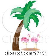 Royalty Free RF Clipart Illustration Of A Pink Flamingo Pair On A Beach Near A Palm Tree by Pams Clipart