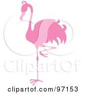 Poster, Art Print Of Pink Flamingo Bird Balanced On One Leg Silhouette