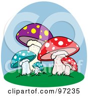 Royalty Free RF Clipart Illustration Of A Patch Of Colorful Spotted Mushrooms Under A Blue Sky by Pams Clipart