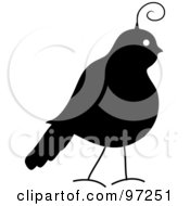 Poster, Art Print Of Profile Of A Silhouetted Partridge