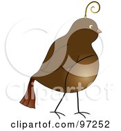 Poster, Art Print Of Profile Of A Brown Partridge