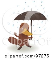 Poster, Art Print Of Platypus Standing Under An Umbrella In The Rain
