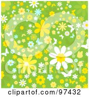 Poster, Art Print Of Green Background Of White Yellow And Blue Flowers And Butterflies