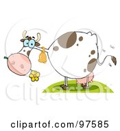 Poster, Art Print Of Stinky Farm Cow Eating A Flower