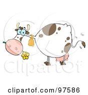 Poster, Art Print Of Spotted Farm Cow Eating A Flower