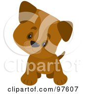 Playful Brown Puppy With Large Paws Cocking His Head And Facing Forward
